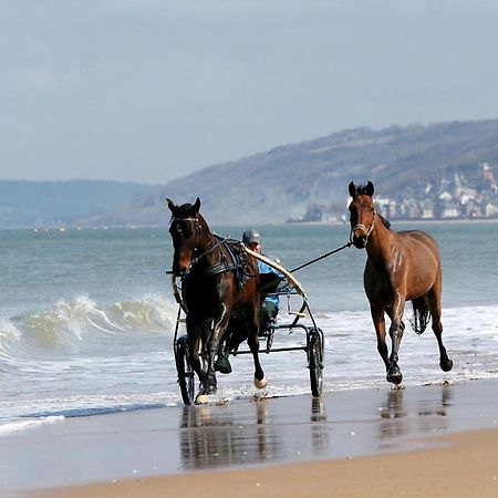 קאבורג Le Nid De Plage A 100 M De La Mer מראה חיצוני תמונה