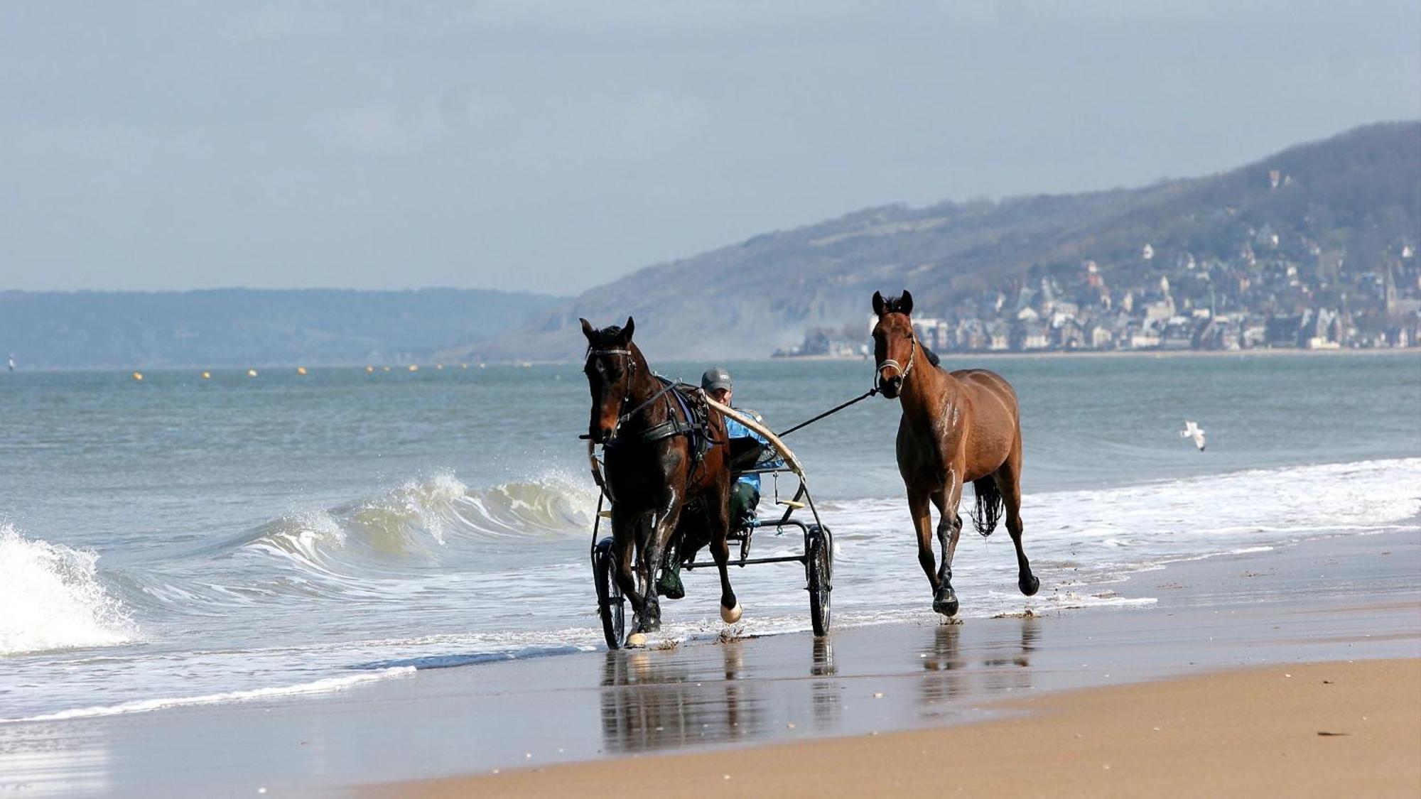 קאבורג Le Nid De Plage A 100 M De La Mer מראה חיצוני תמונה